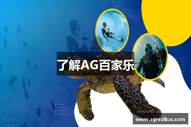了解AG百家乐